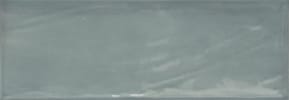 Salvia blank 10x30