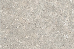 Fossil 15x15 såg