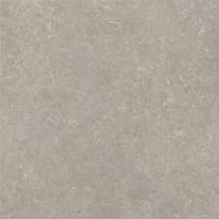 Fossil 60x60 såg