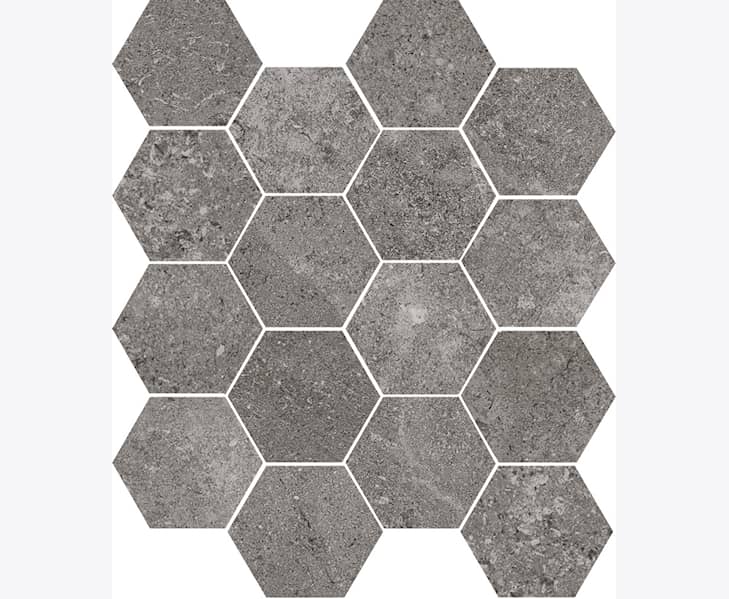Fossile mos hexagon, ark 28,5x33,5