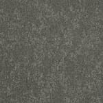 Taupe 50x50