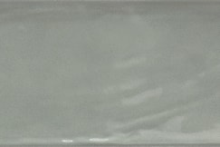 Salvia blank 10x30