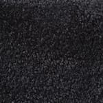 Coal
