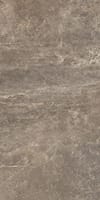 Taupe 30,5x60,5
